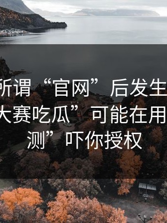 我打开所谓“官网”后发生了什么：“每日大赛吃瓜”可能在用“安全检测”吓你授权