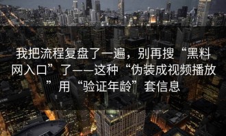 我把流程复盘了一遍，别再搜“黑料网入口”了——这种“伪装成视频播放”用“验证年龄”套信息
