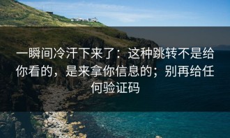 一瞬间冷汗下来了：这种跳转不是给你看的，是来拿你信息的；别再给任何验证码