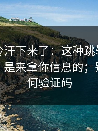 一瞬间冷汗下来了：这种跳转不是给你看的，是来拿你信息的；别再给任何验证码