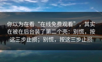 你以为在看“在线免费观看”，其实在被在后台装了第二个壳：别慌，按这三步止损；别慌，按这三步止损