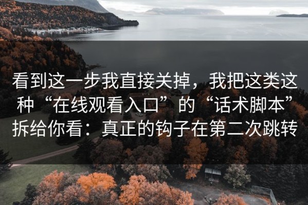 看到这一步我直接关掉，我把这类这种“在线观看入口”的“话术脚本”拆给你看：真正的钩子在第二次跳转