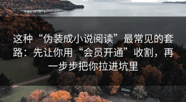 这种“伪装成小说阅读”最常见的套路：先让你用“会员开通”收割，再一步步把你拉进坑里
