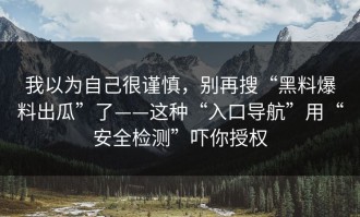 我以为自己很谨慎，别再搜“黑料爆料出瓜”了——这种“入口导航”用“安全检测”吓你授权