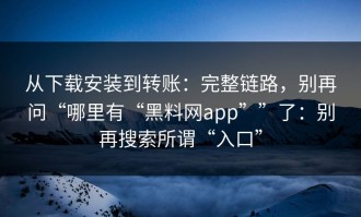 从下载安装到转账：完整链路，别再问“哪里有“黑料网app””了：别再搜索所谓“入口”