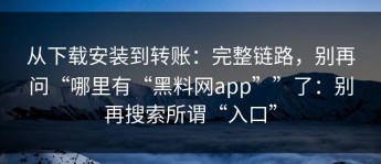从下载安装到转账：完整链路，别再问“哪里有“黑料网app””了：别再搜索所谓“入口”