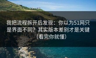 我把流程拆开后发现：你以为51网只是界面不同？其实版本差别才是关键（看完你就懂）