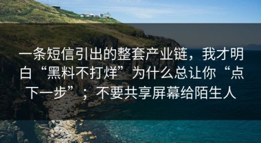 一条短信引出的整套产业链，我才明白“黑料不打烊”为什么总让你“点下一步”；不要共享屏幕给陌生人