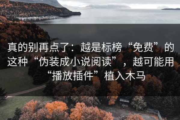 真的别再点了：越是标榜“免费”的这种“伪装成小说阅读”，越可能用“播放插件”植入木马