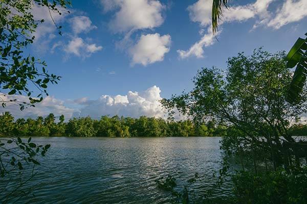“每日大赛黑料”到底想要什么？答案很直接：用“恢复观看”逼你扫码；我把自救步骤写清楚了