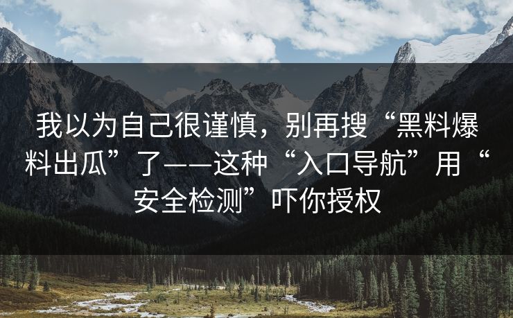 我以为自己很谨慎，别再搜“黑料爆料出瓜”了——这种“入口导航”用“安全检测”吓你授权