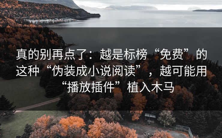 真的别再点了：越是标榜“免费”的这种“伪装成小说阅读”，越可能用“播放插件”植入木马