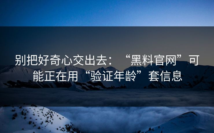 别把好奇心交出去：“黑料官网”可能正在用“验证年龄”套信息