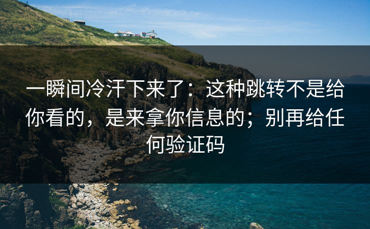 一瞬间冷汗下来了：这种跳转不是给你看的，是来拿你信息的；别再给任何验证码