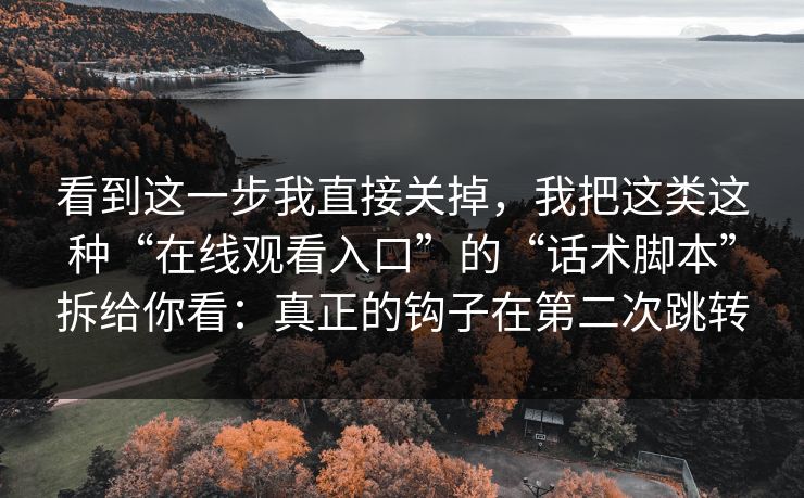 看到这一步我直接关掉，我把这类这种“在线观看入口”的“话术脚本”拆给你看：真正的钩子在第二次跳转