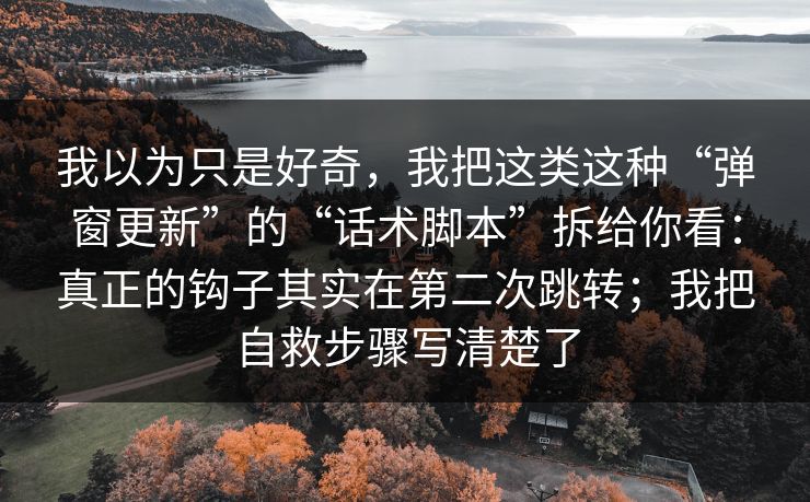 我以为只是好奇，我把这类这种“弹窗更新”的“话术脚本”拆给你看：真正的钩子其实在第二次跳转；我把自救步骤写清楚了