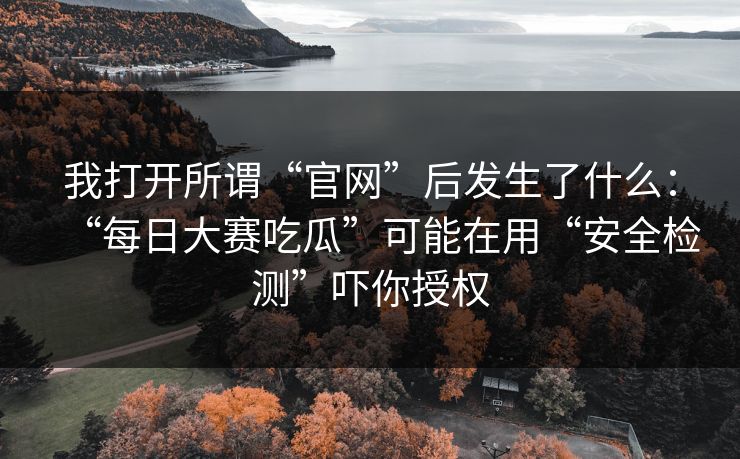 我打开所谓“官网”后发生了什么：“每日大赛吃瓜”可能在用“安全检测”吓你授权